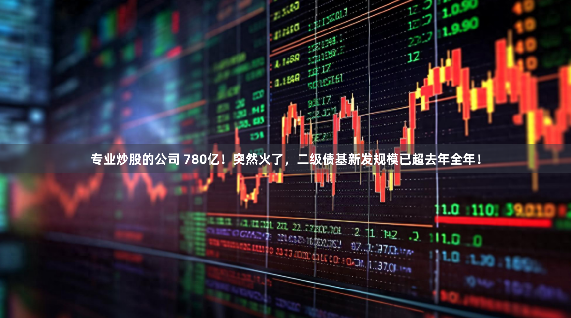 专业炒股的公司 780亿！突然火了，二级债基新发规模已超去年全年！