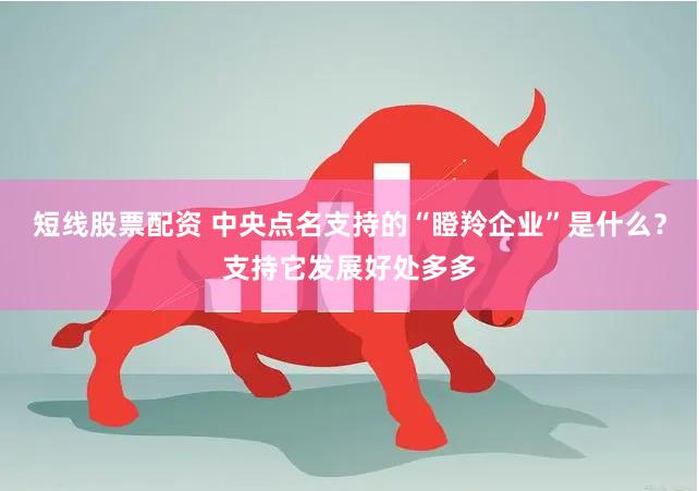 短线股票配资 中央点名支持的“瞪羚企业”是什么？支持它发展好处多多